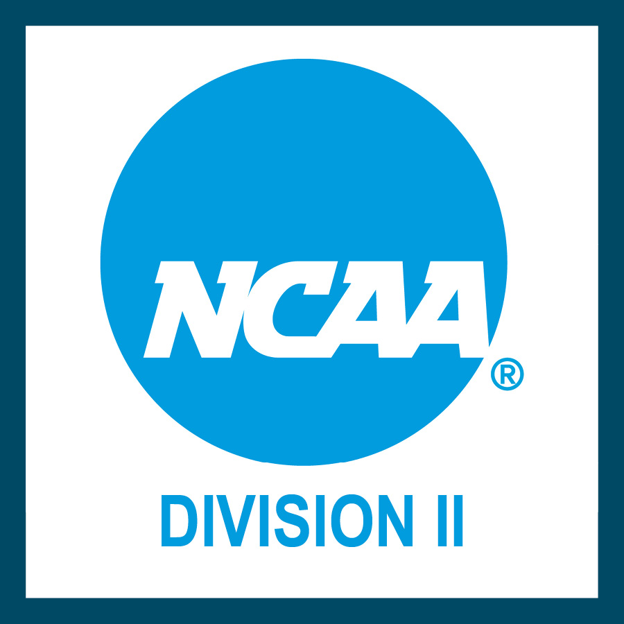Division II